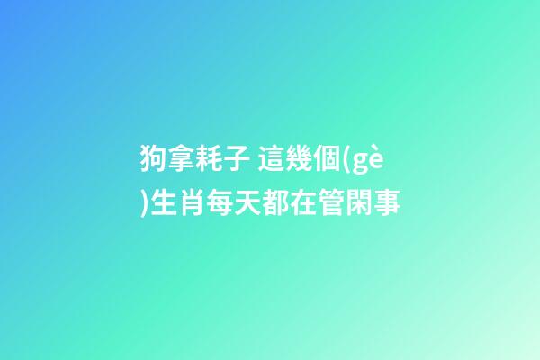 狗拿耗子 這幾個(gè)生肖每天都在管閑事